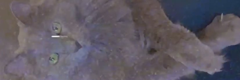 herbadasss's profile banner image
