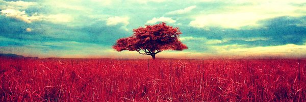 cryptoladiesss Profile Banner