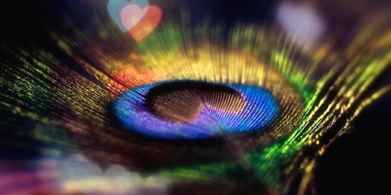 daldildul15's profile banner image