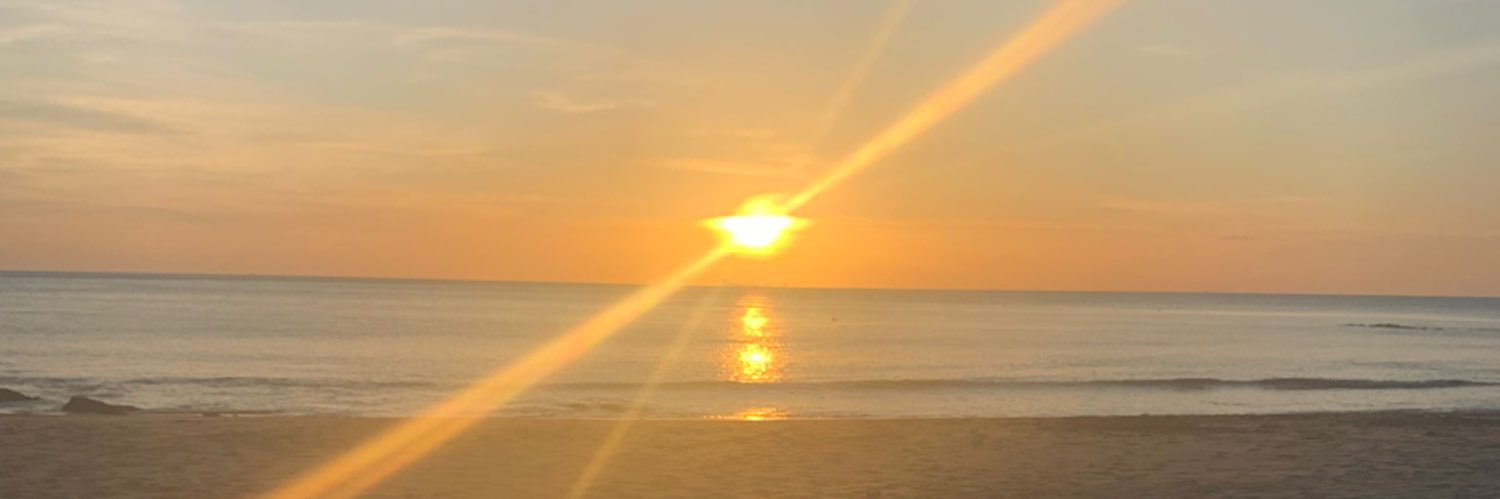 Jamie Scallion banner