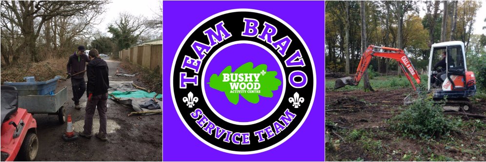 TMbravoscouts's profile banner image