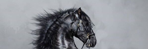 idiltopcu's profile banner image