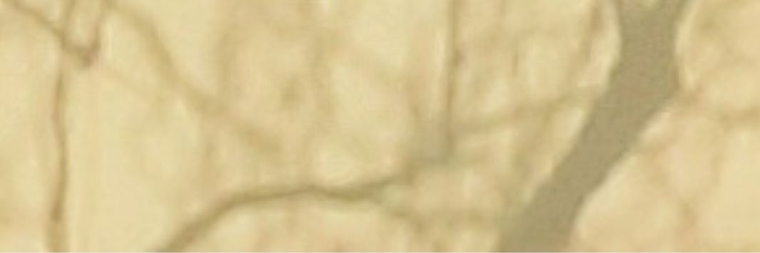 maherjoanne1's profile banner image
