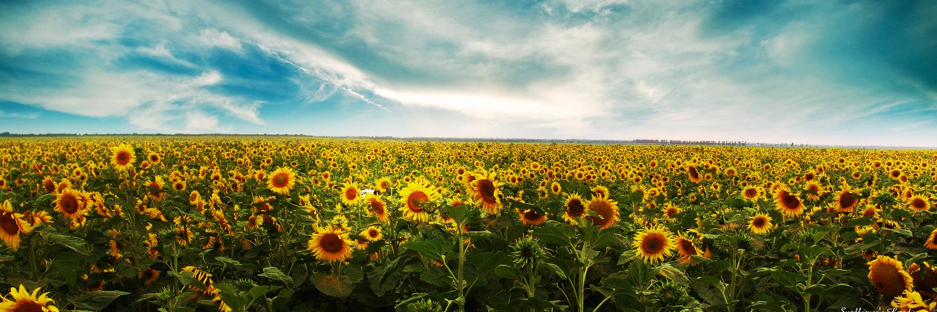 FLundyBFM's profile banner image