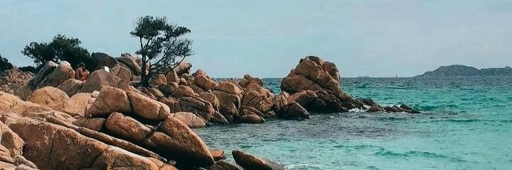 _saragurioli's profile banner image
