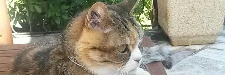 chalunatique's profile banner image
