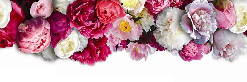 PeonyAcres's profile banner image