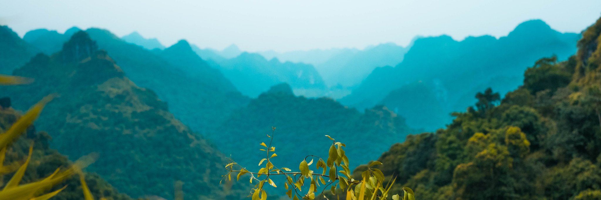 thewanderlusttravels banner