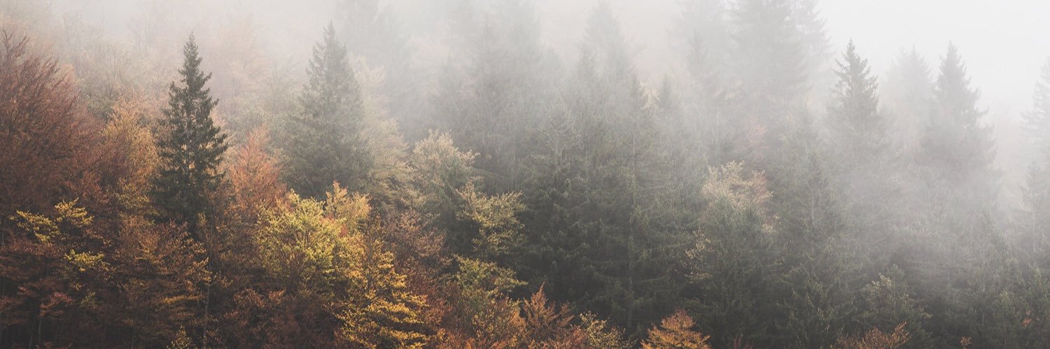 m___marie's profile banner image