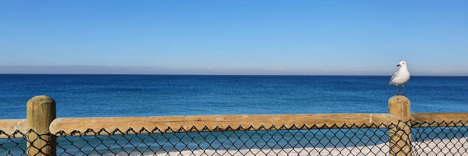 Dr Ahmed Ibrahim banner