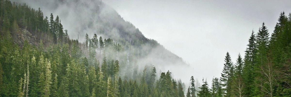 Benpsn1's profile banner image