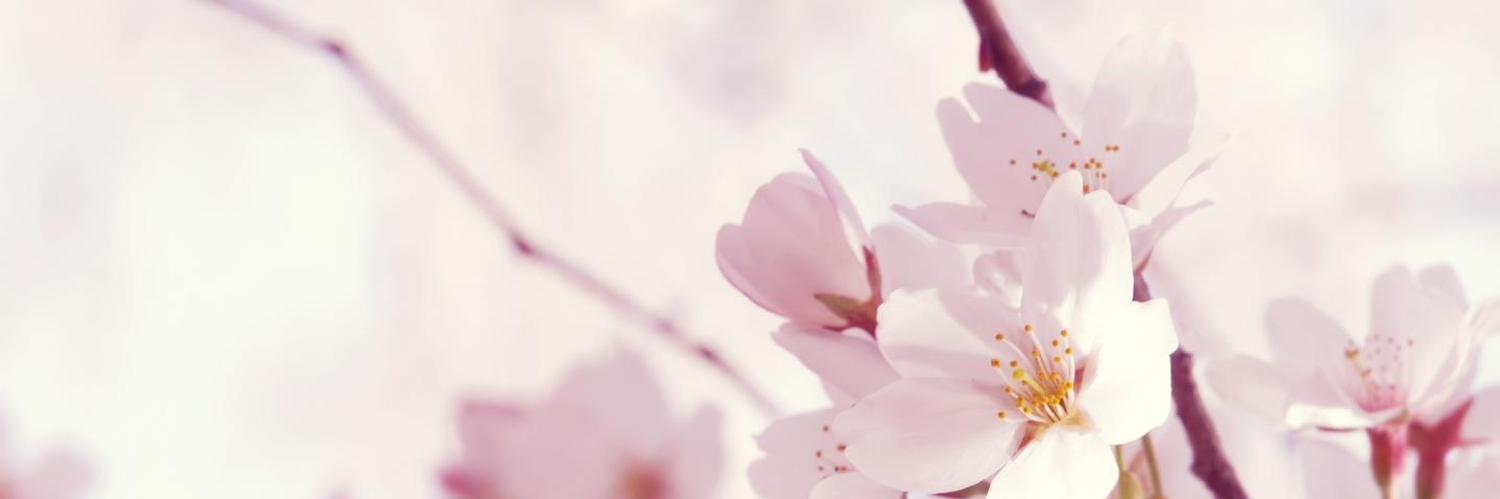 Omo! Ottoke? (@omo_ottoke) | Twitter