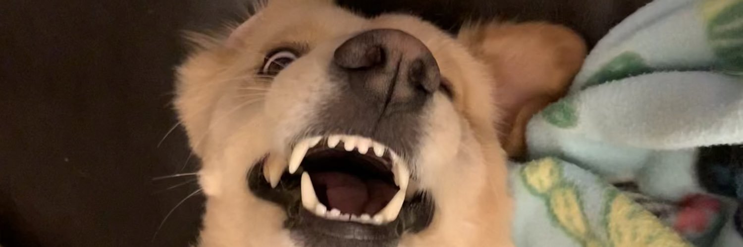 sierraamanda01's profile banner image