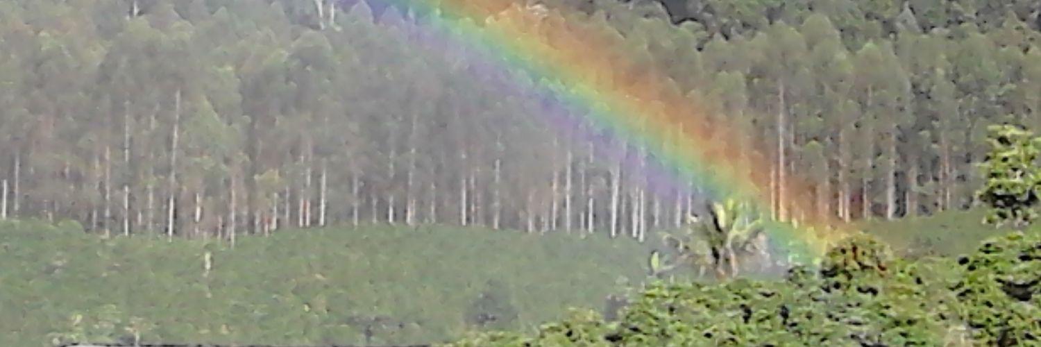 AlanPathelly's profile banner image