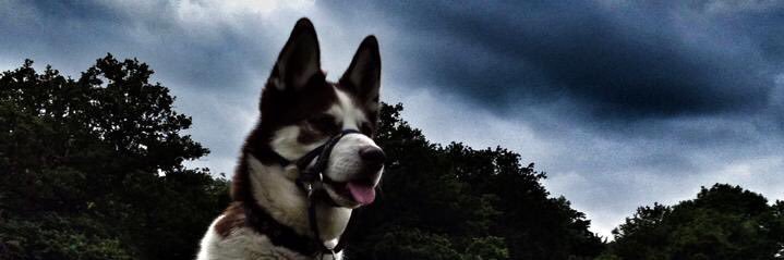 james_rlnd's profile banner image