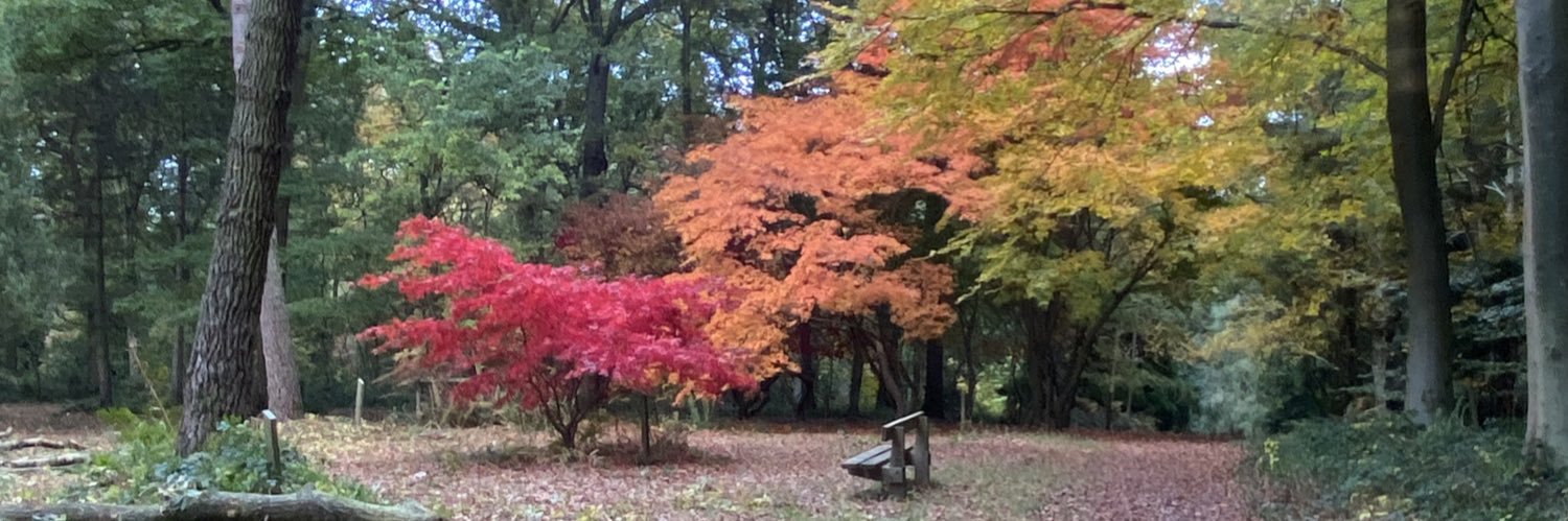 Kate Louise Leonardo banner