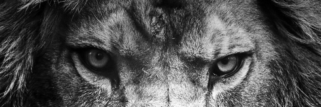 gabrieljacobm's profile banner image