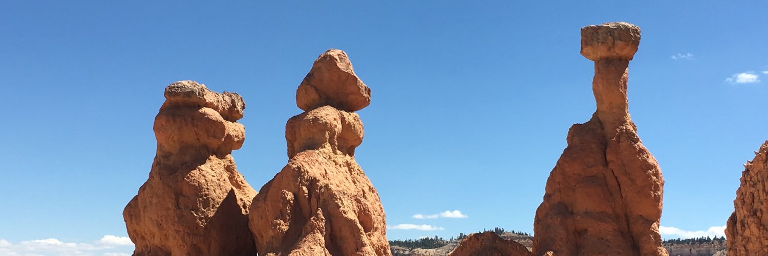 ballihaut's profile banner image