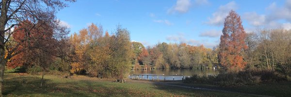 simoningyon Profile Banner