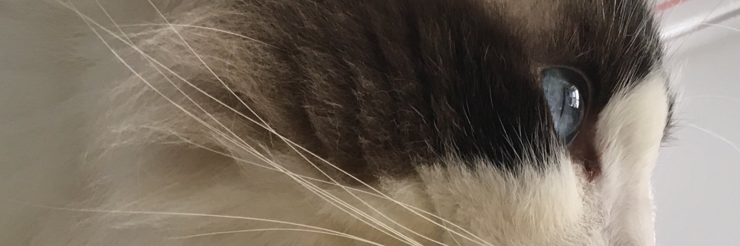 Casandra 🇪🇺 banner