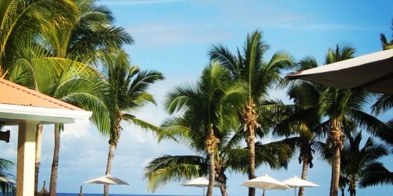 Aneshree1's profile banner image
