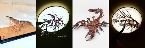 garyukirigami Profile Banner