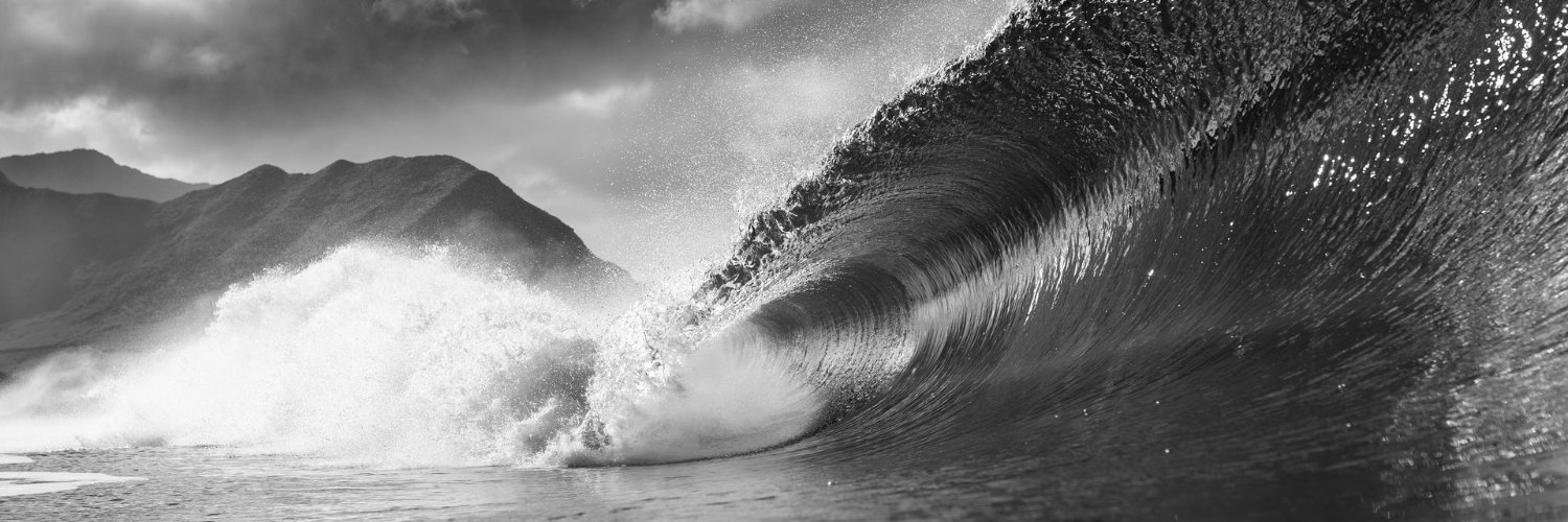 Len Morales Jr banner