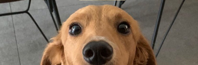 _mialaurel's profile banner image