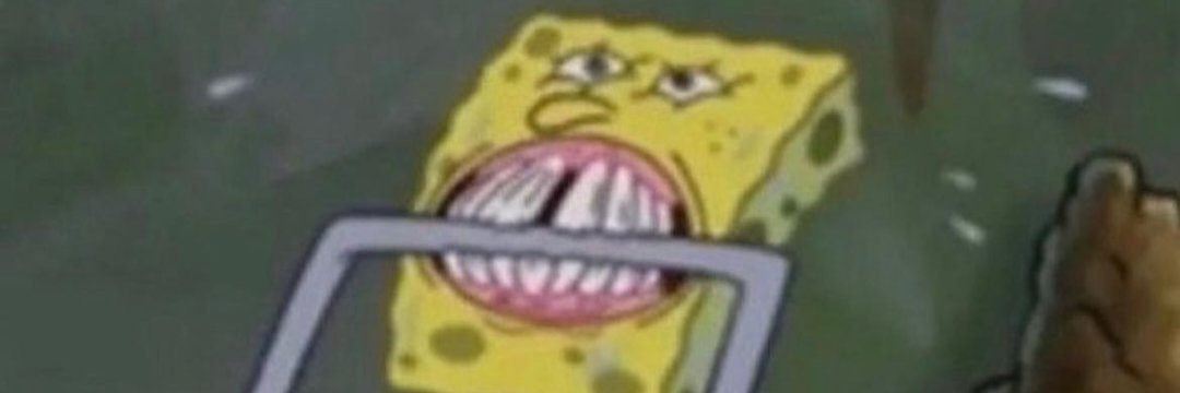 Chonky Boi banner