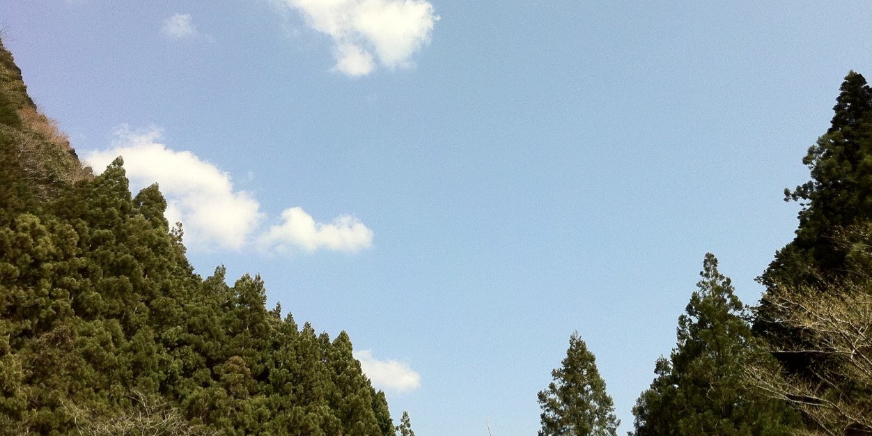 Arcadia_pwt's profile banner image