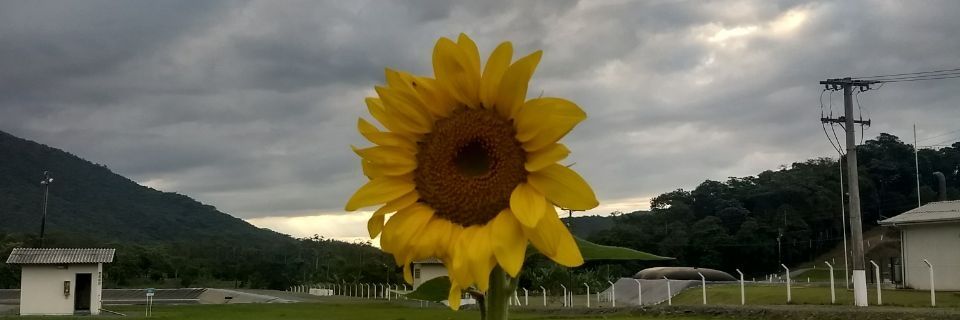 _alinelang's profile banner image