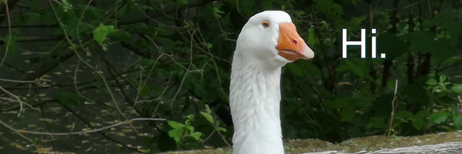  Nicole  banner