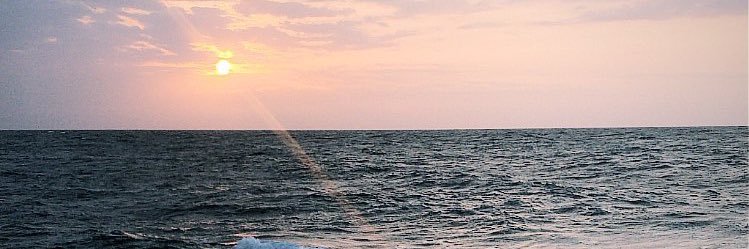 eyadsaad_'s profile banner image