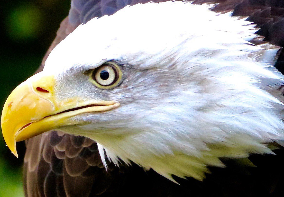 NijhofGerben's profile banner image
