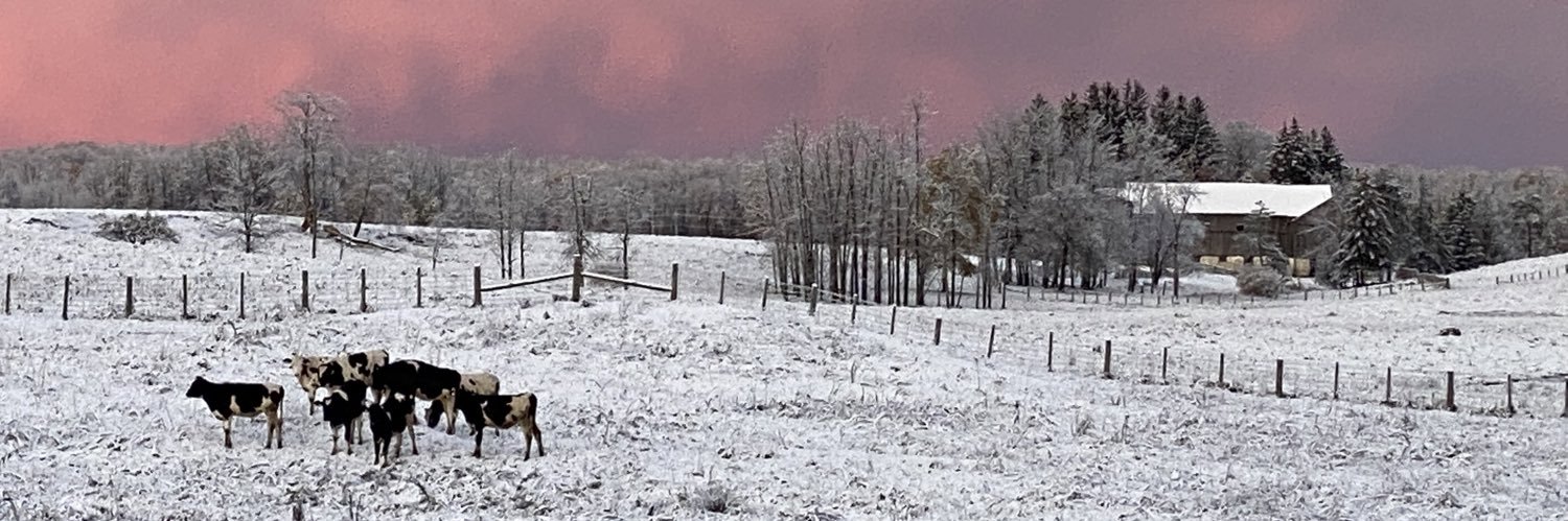 C Denard, BA, MSc banner