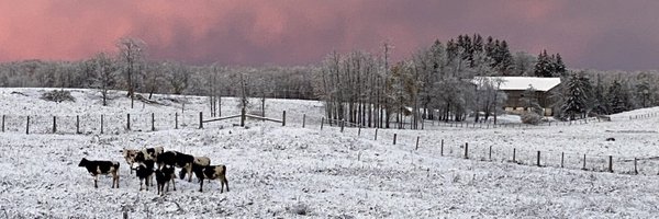 CowSpotComm Profile Banner