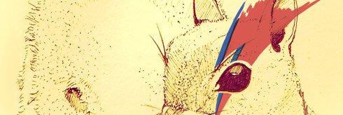 NicoleKent1's profile banner image