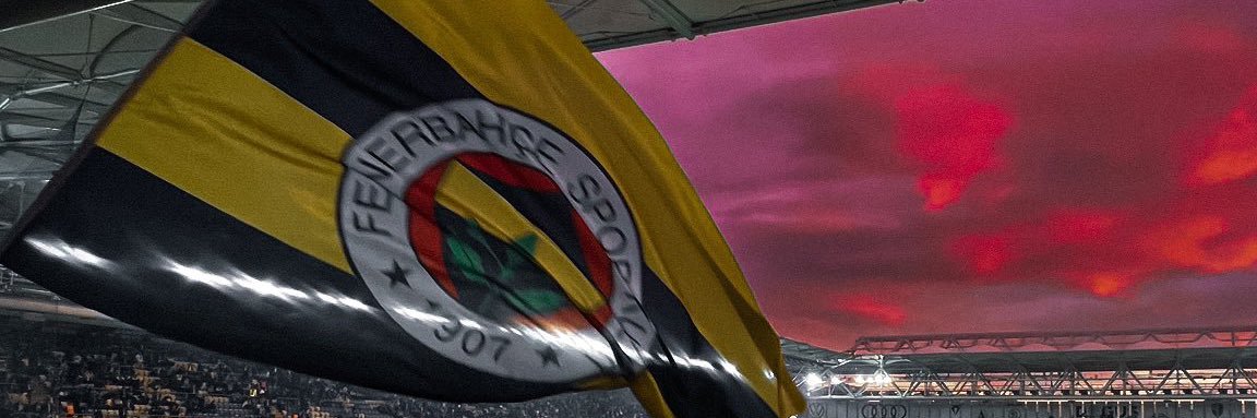 meliihoner's profile banner image