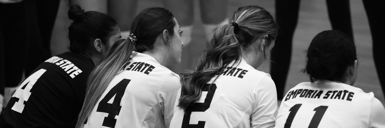 brailee bogle banner