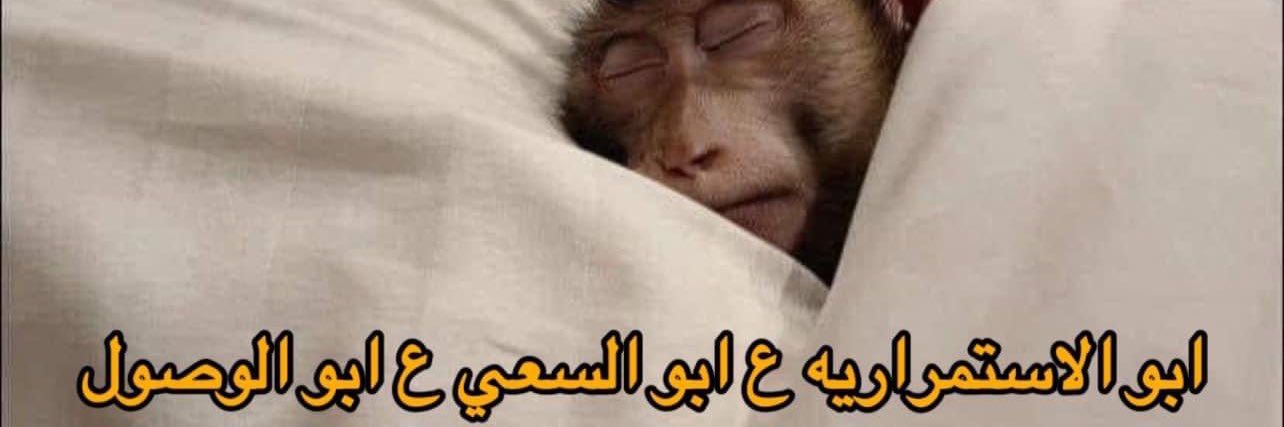 Hossam Fathi banner