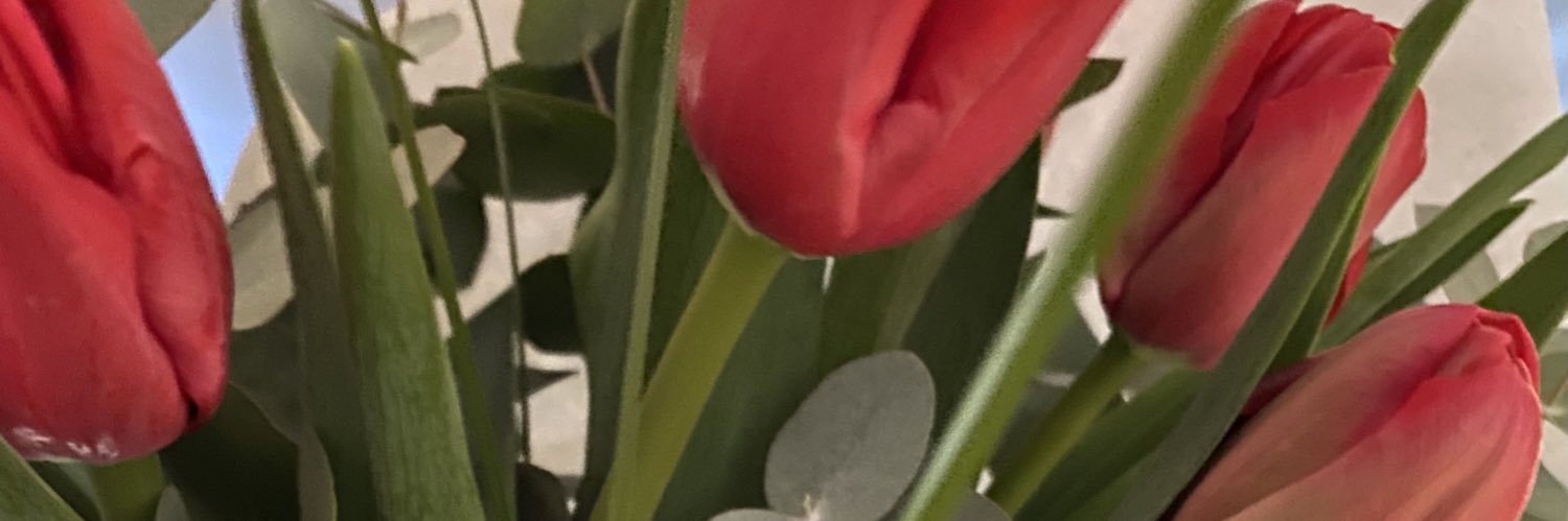 Carmen banner