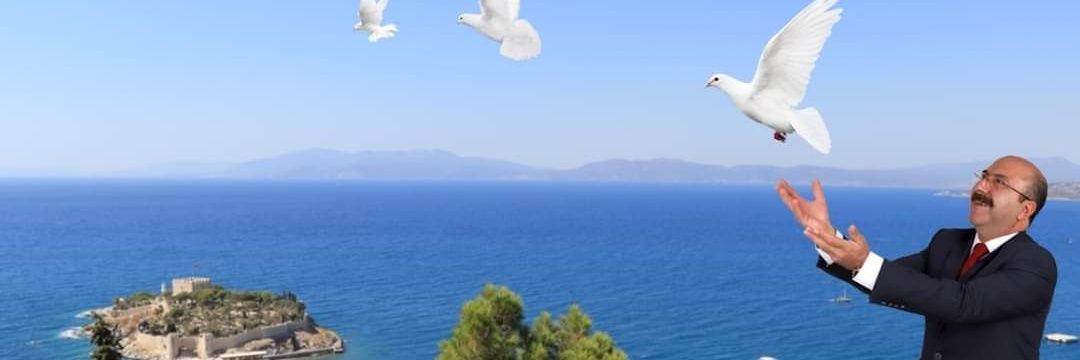 av_erdalgungor's profile banner image