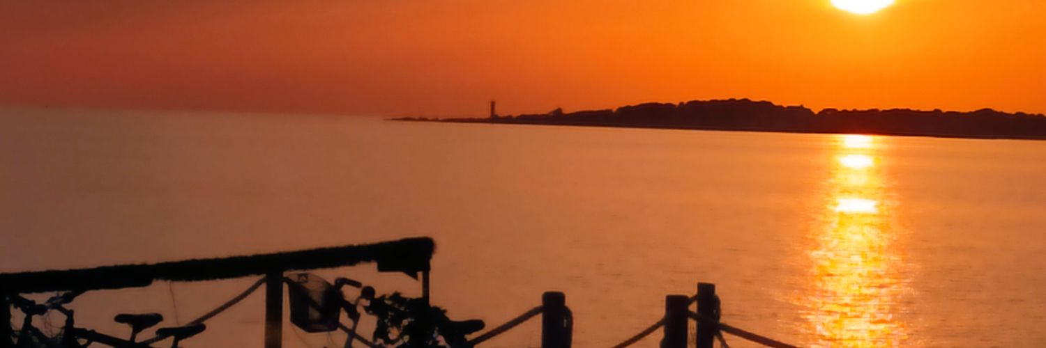 evaijoan's profile banner image