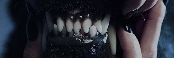 SoloSJI's profile banner image