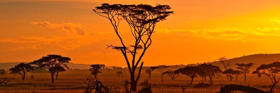Mamou18_'s profile banner image