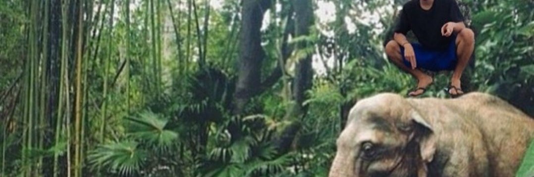 pedropedro_7's profile banner image