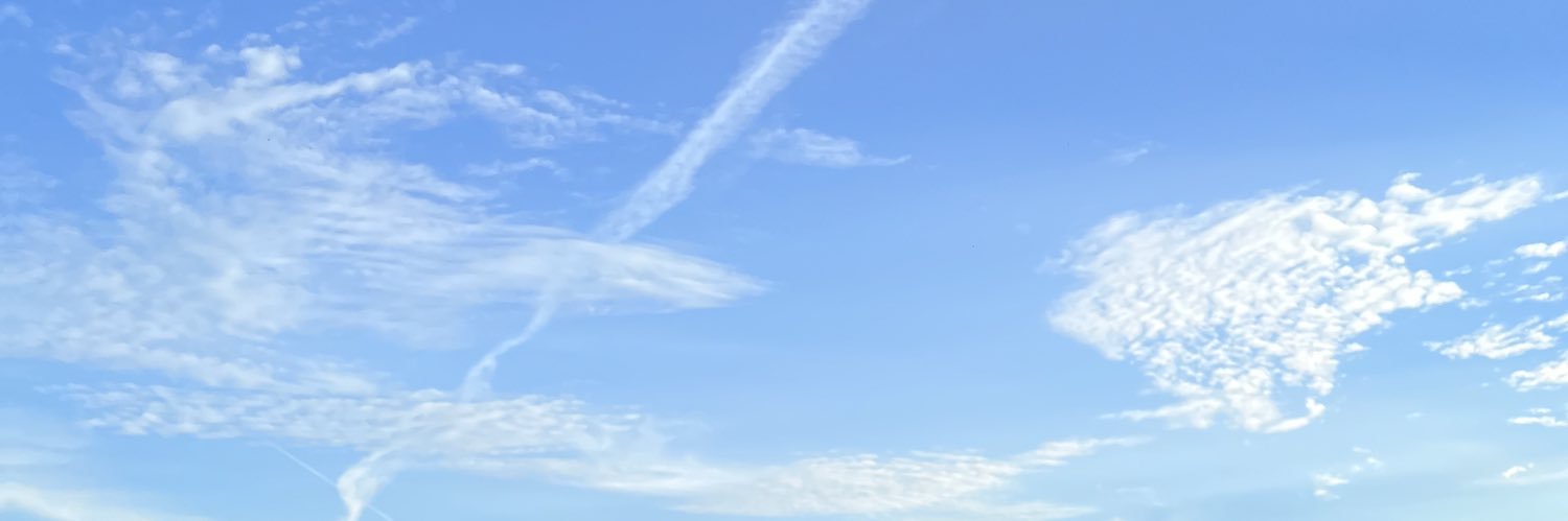 osnapitznerea's profile banner image