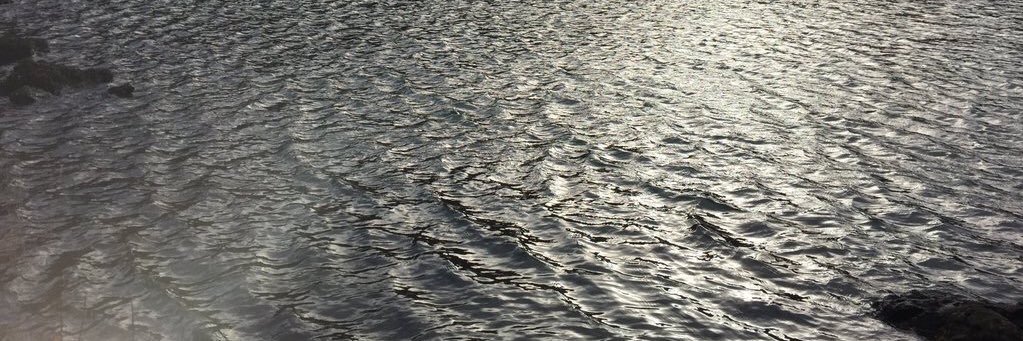 swoodypriv's profile banner image