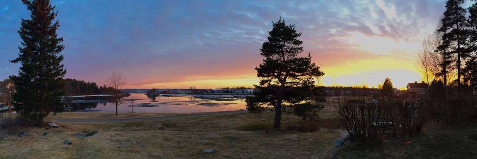 sara_hallgren's profile banner image