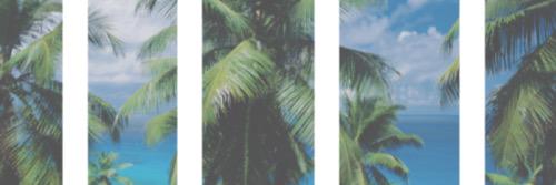 ExplicitBitchOV's profile banner image
